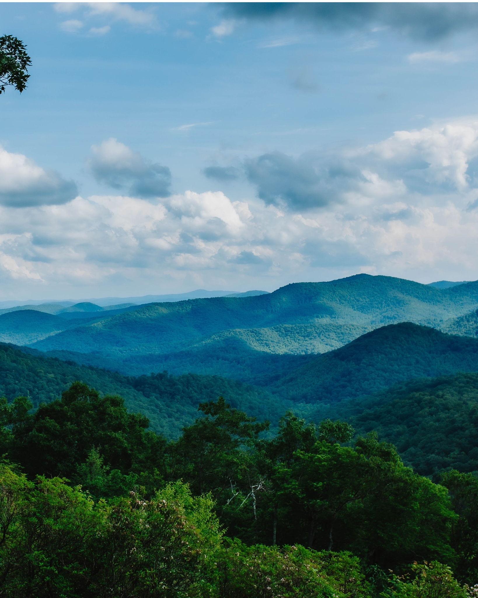 The Wedding Website of Taylor Vogel and Derek McCray