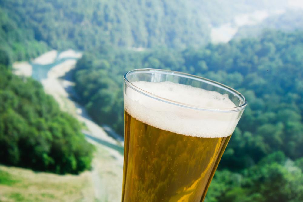 The Wedding Website of Sabrina Viscuso and Seth Issertell