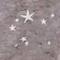Graphite Stars