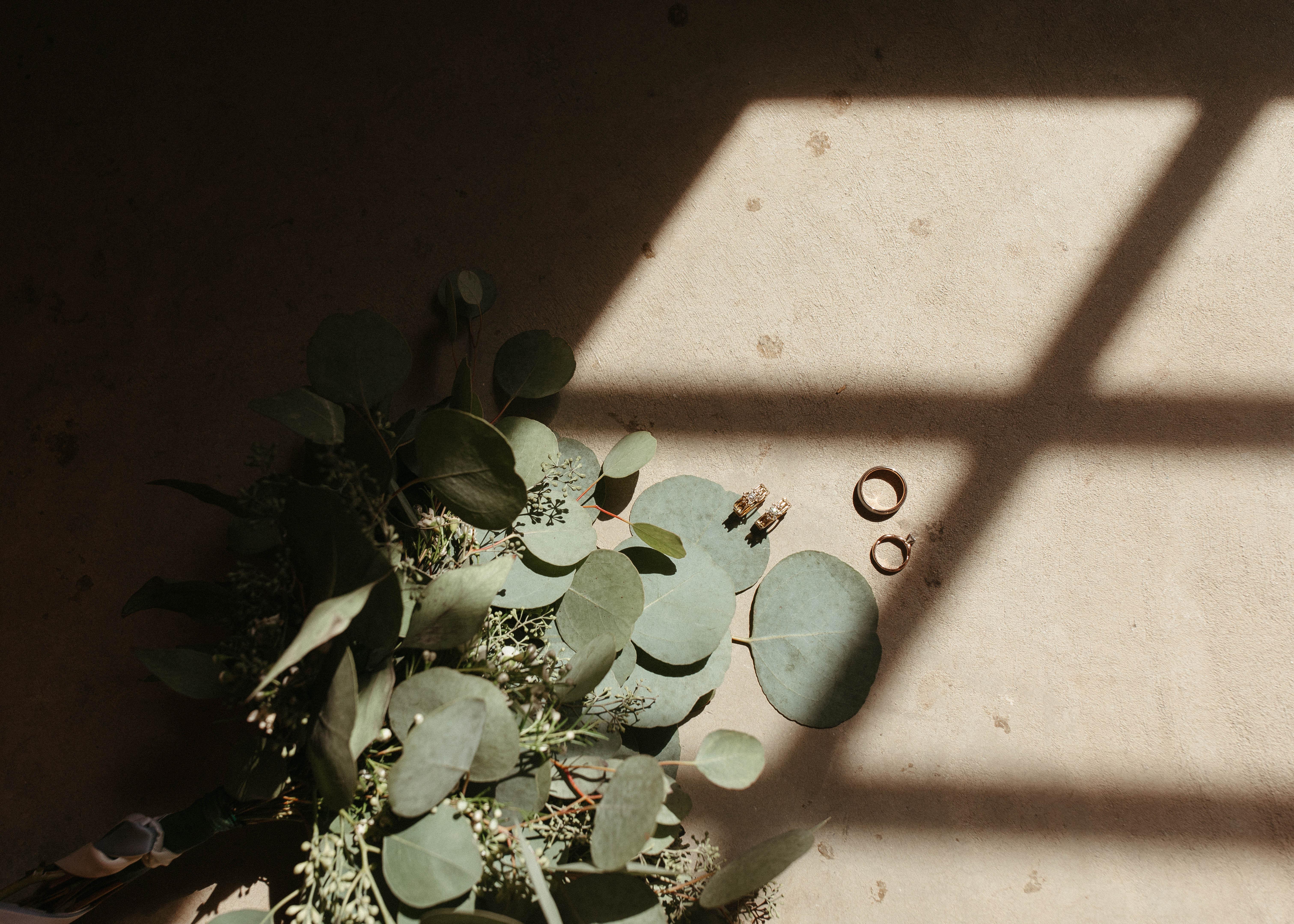 The Wedding Website of JESSE WEAVER and DANNA WEAVER