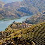 Douro Valley Wine Tours