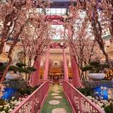 Bellagio Conservatory & Botanical Gardens