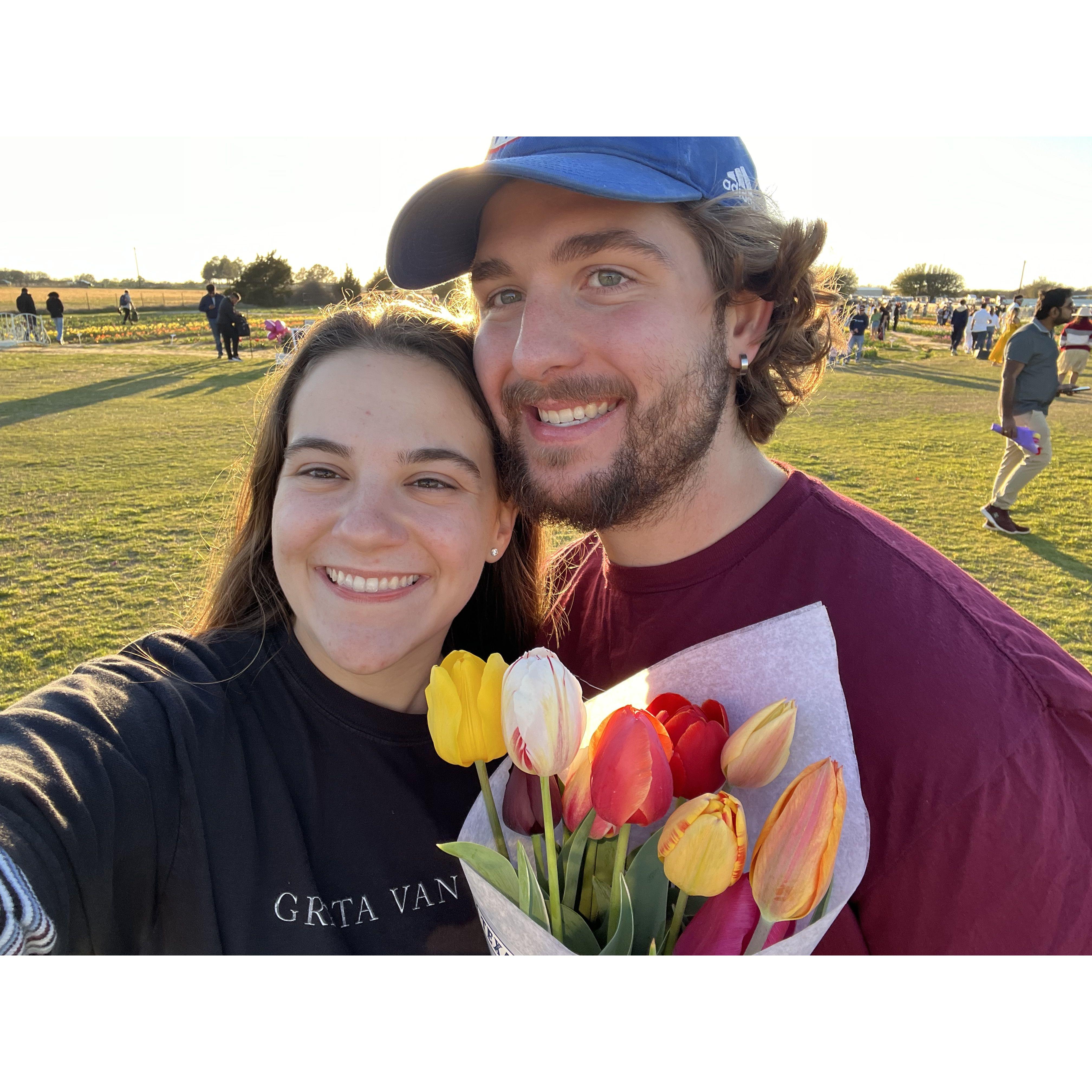 Picking tulips at Texas Tulips!