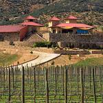 Las Nubes Bodegas y Viñedos
