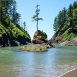 Deadman's Cove