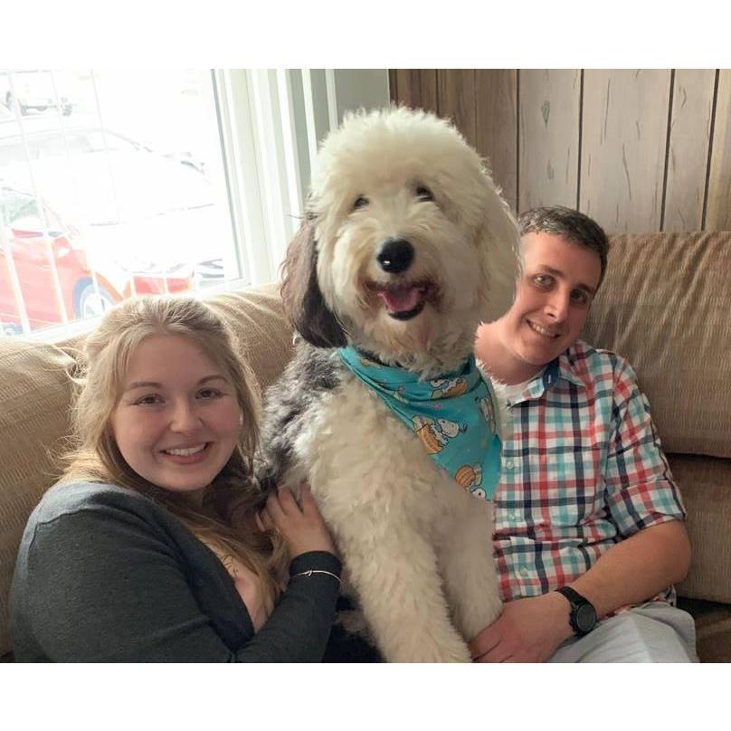 Easter with our massive pooch (April 2019)