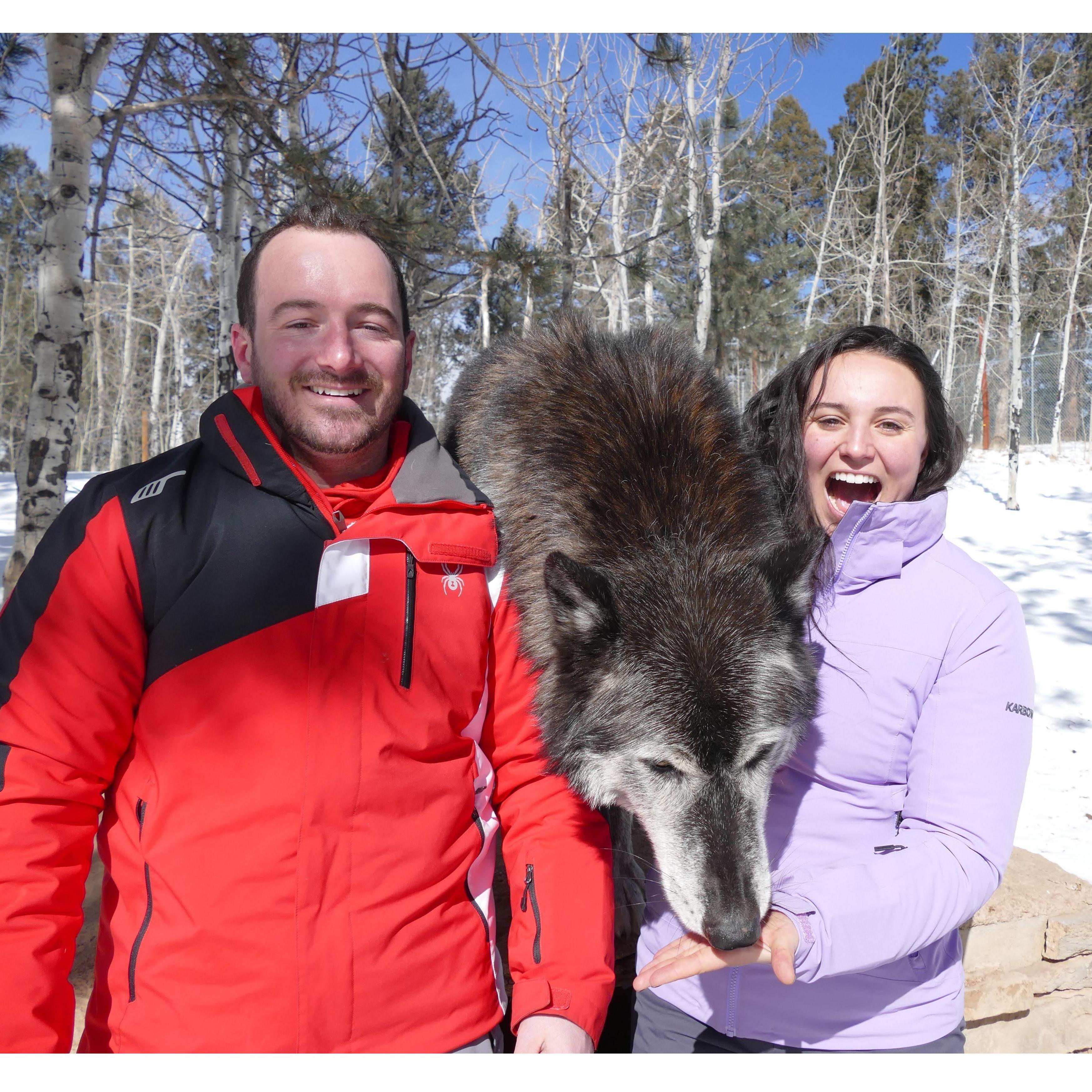 Colorado Wolf Sanctuary, CO. 2019