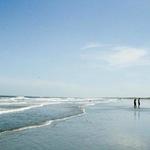Beachwalker park
