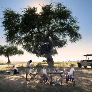 Safari Outdoor dinner date