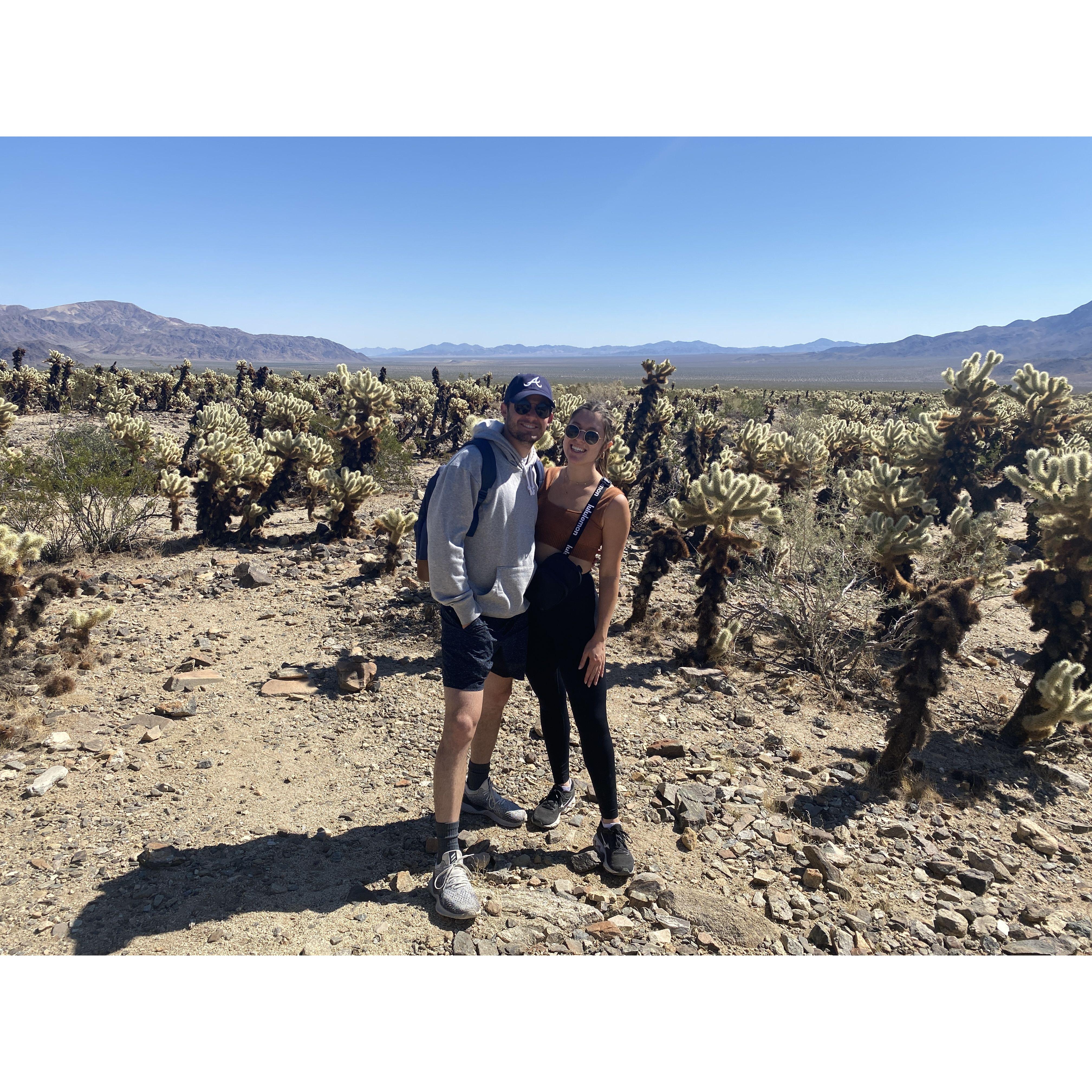 Joshua Tree