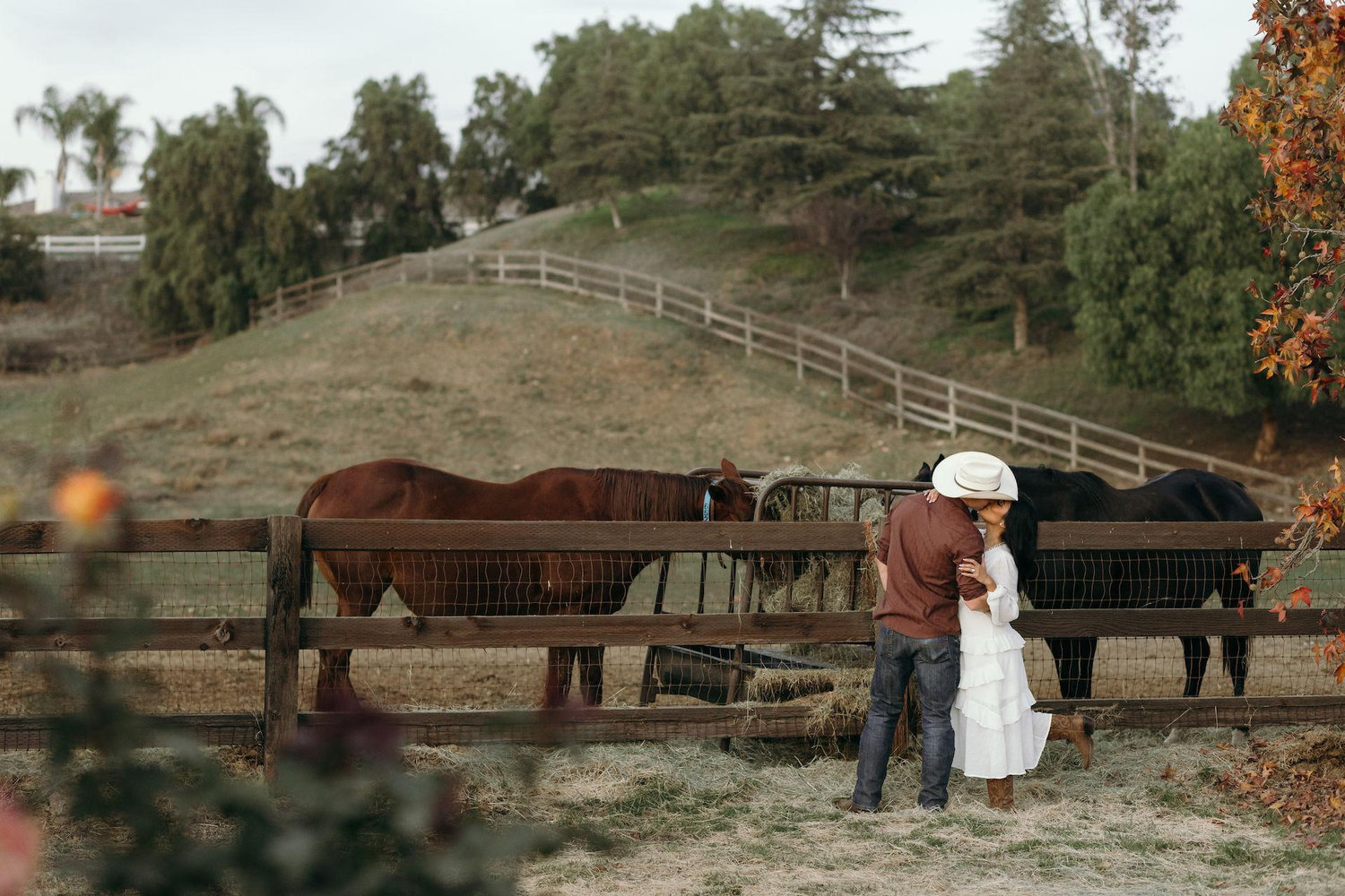 The Wedding Website of Brianna Pacheco and Joey Horsey