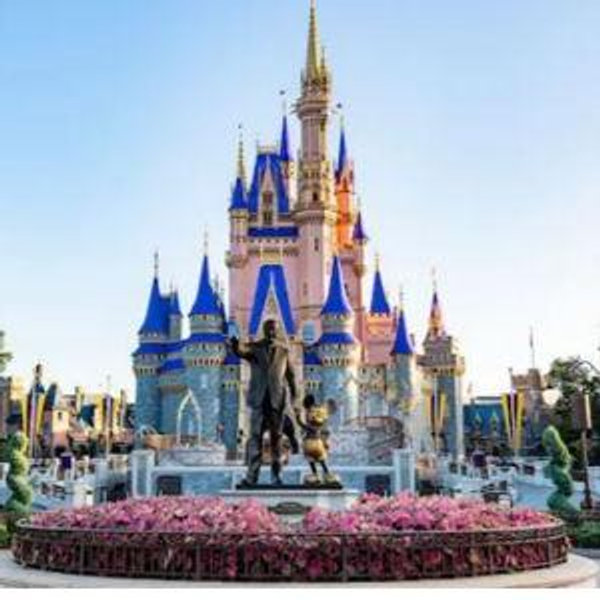 Honeymoon Disney World Tickets