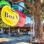 Boa Vista Orchards