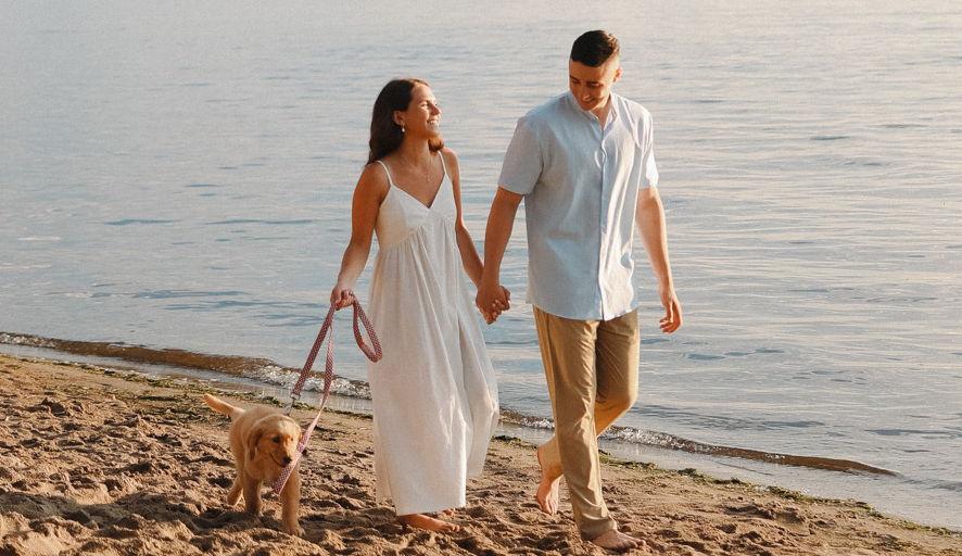 557dd8dc-8a9f-47b4-83b8-3fd44f000b2d