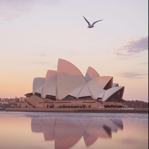 Honeymoon Fund- Australia!