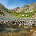 Lundy Lake Beaver Ponds