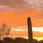 Sabino Canyon Recreation Area