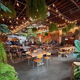 Casual Animal Brewing Co