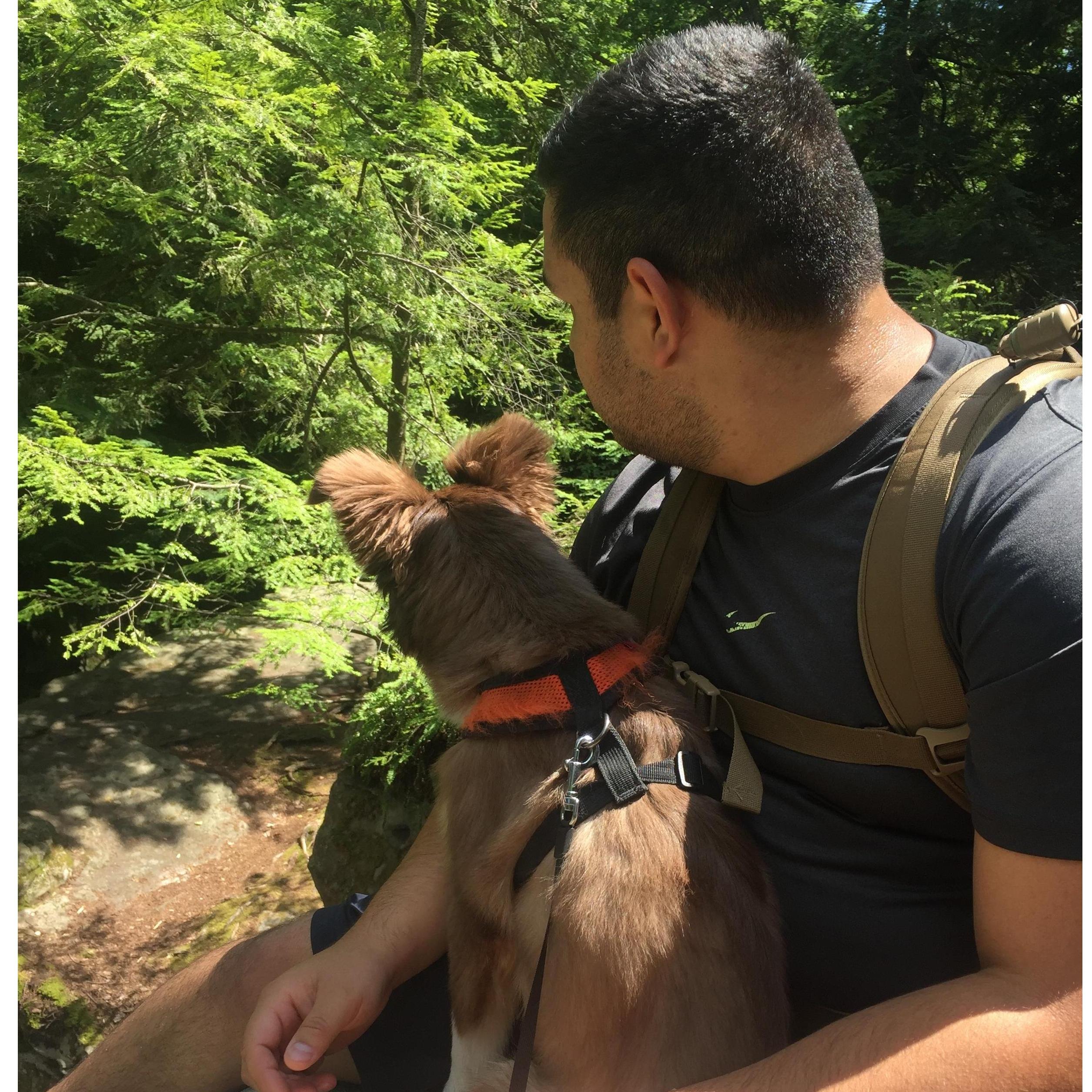 Mario and Jet on a hike at Bilger's Rocks PA