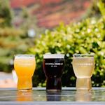 Sedona Beer Company