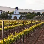 Valle de Guadalupe