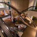 Denver Museum of Nature & Science