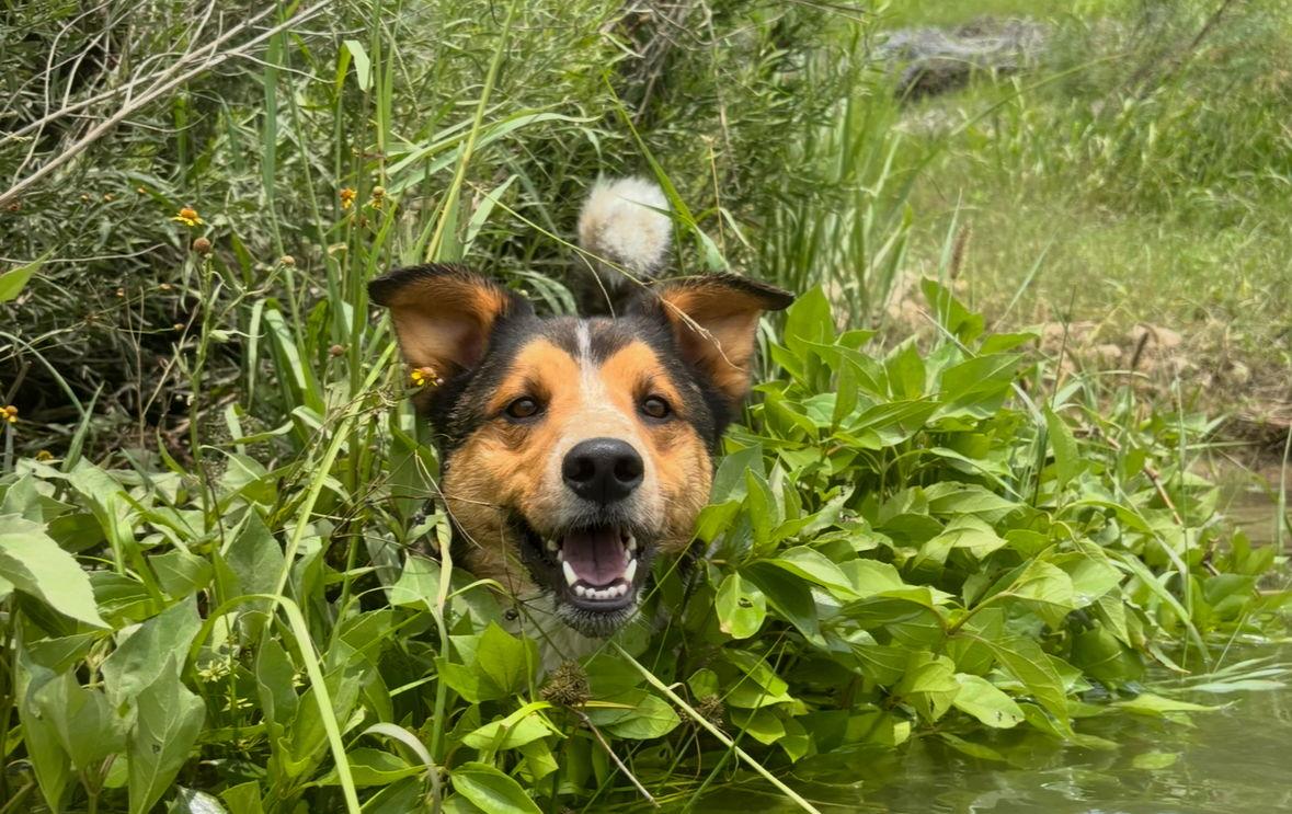 The Wedding Website of Rory Klingensmith and Caleb Murray