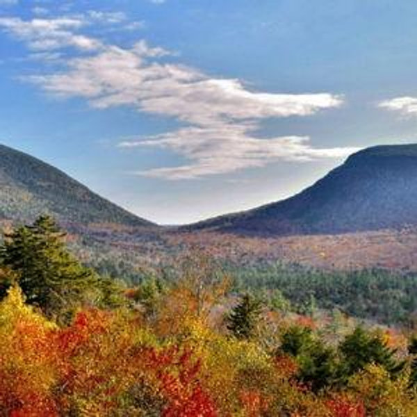 Help us move to New Hampshire!