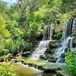 Zilker Botanical Garden