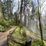 Forest Park