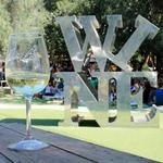 Malibu Wines