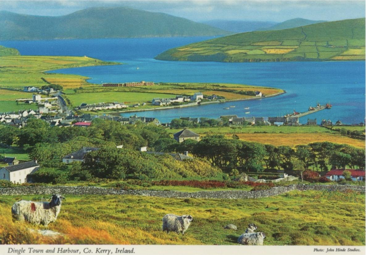The Wedding Website of Abigail Chalmers and Pierre O'Driscoll