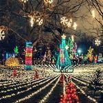 Lincoln Park Zoolights