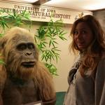 University of Iowa Museum of Natural History