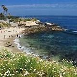 La Jolla Cove