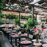 Harper's Garden (large outdoor area)