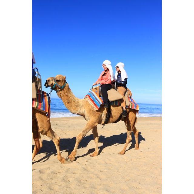 Magical camel ride along the beach outside of Cabo!