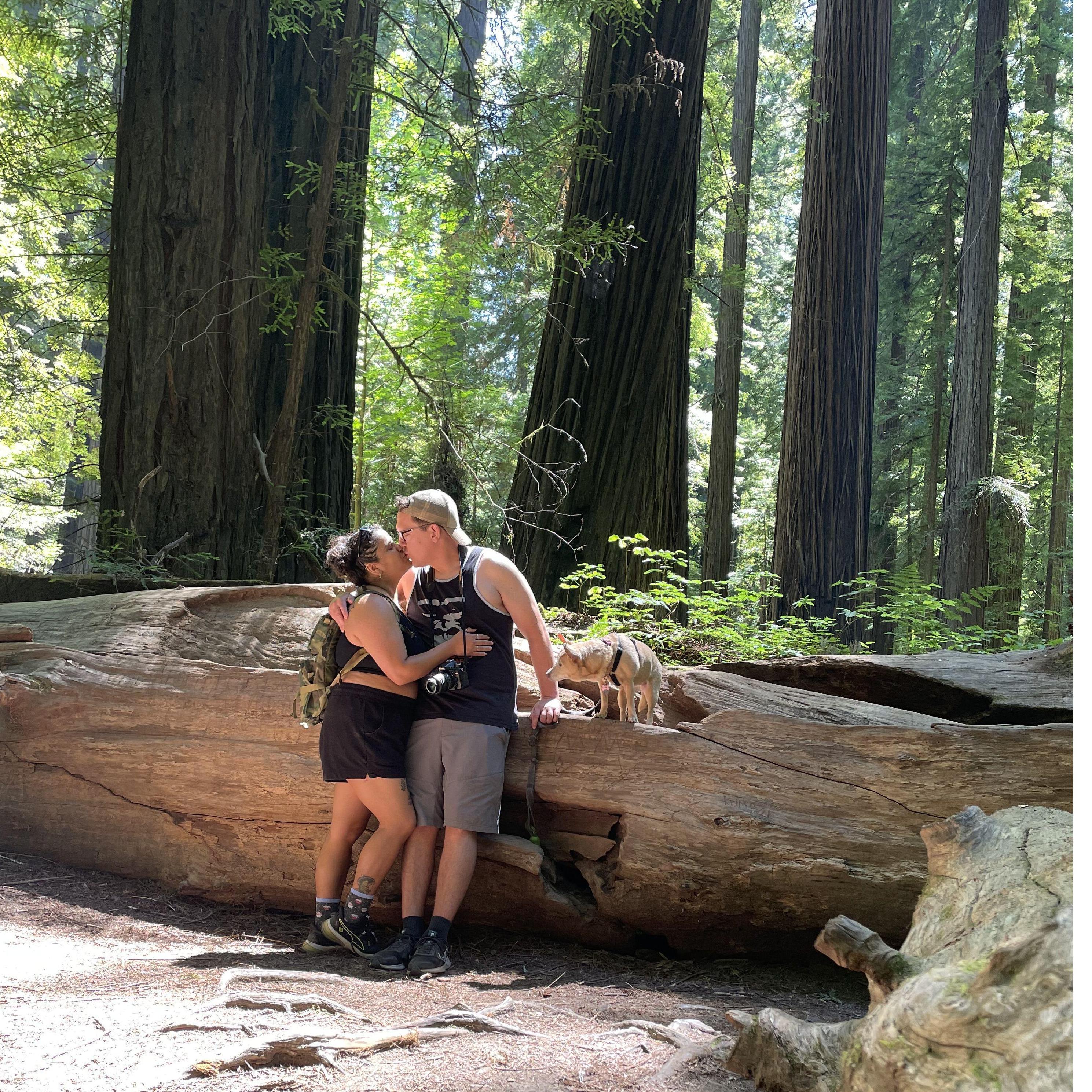 First camping trip together in Weott