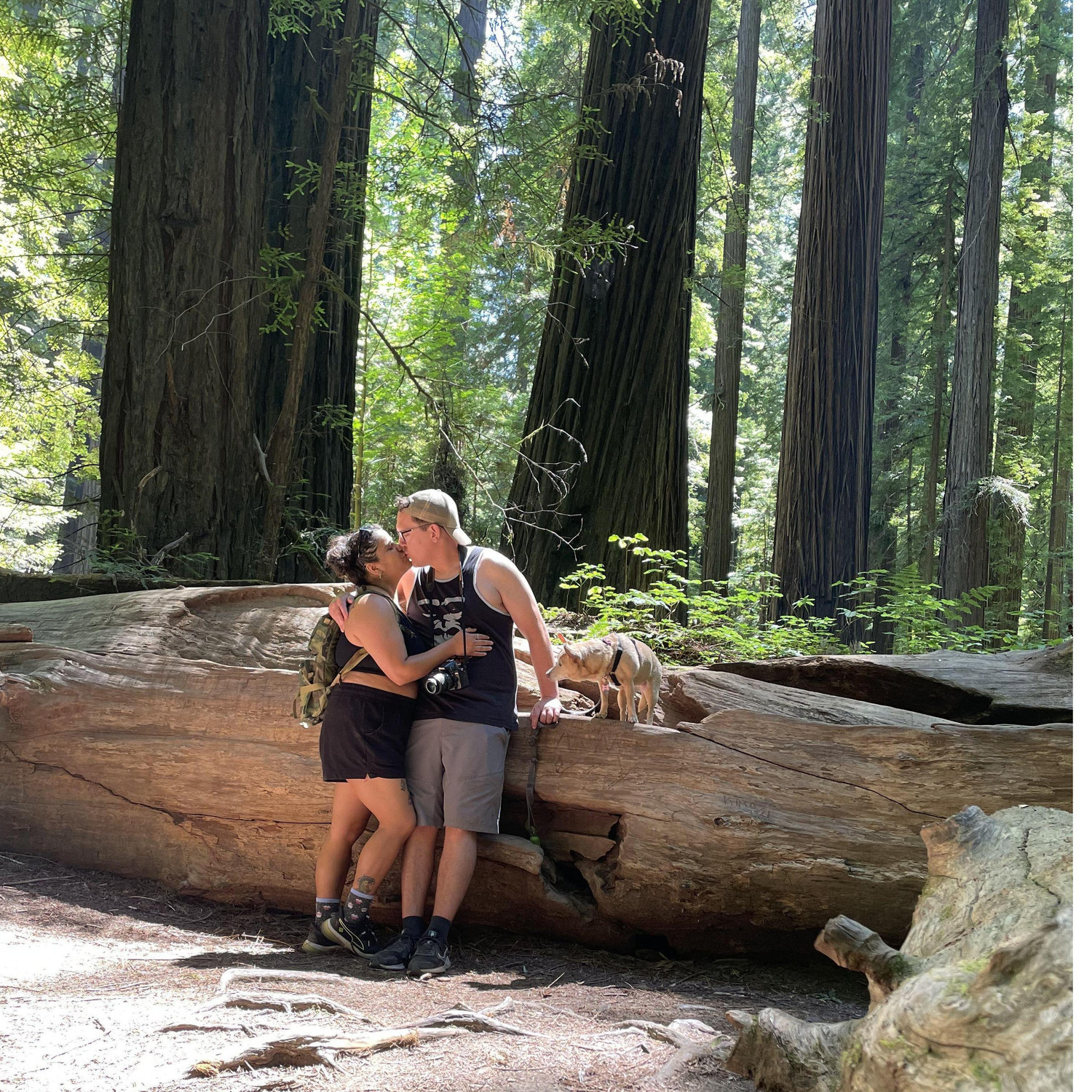 First camping trip together in Weott