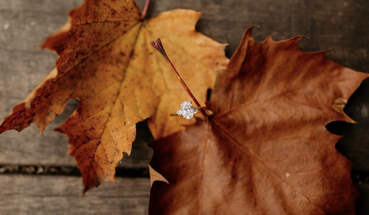 The Wedding Website of Marisa Blashford and Dustin Johnson