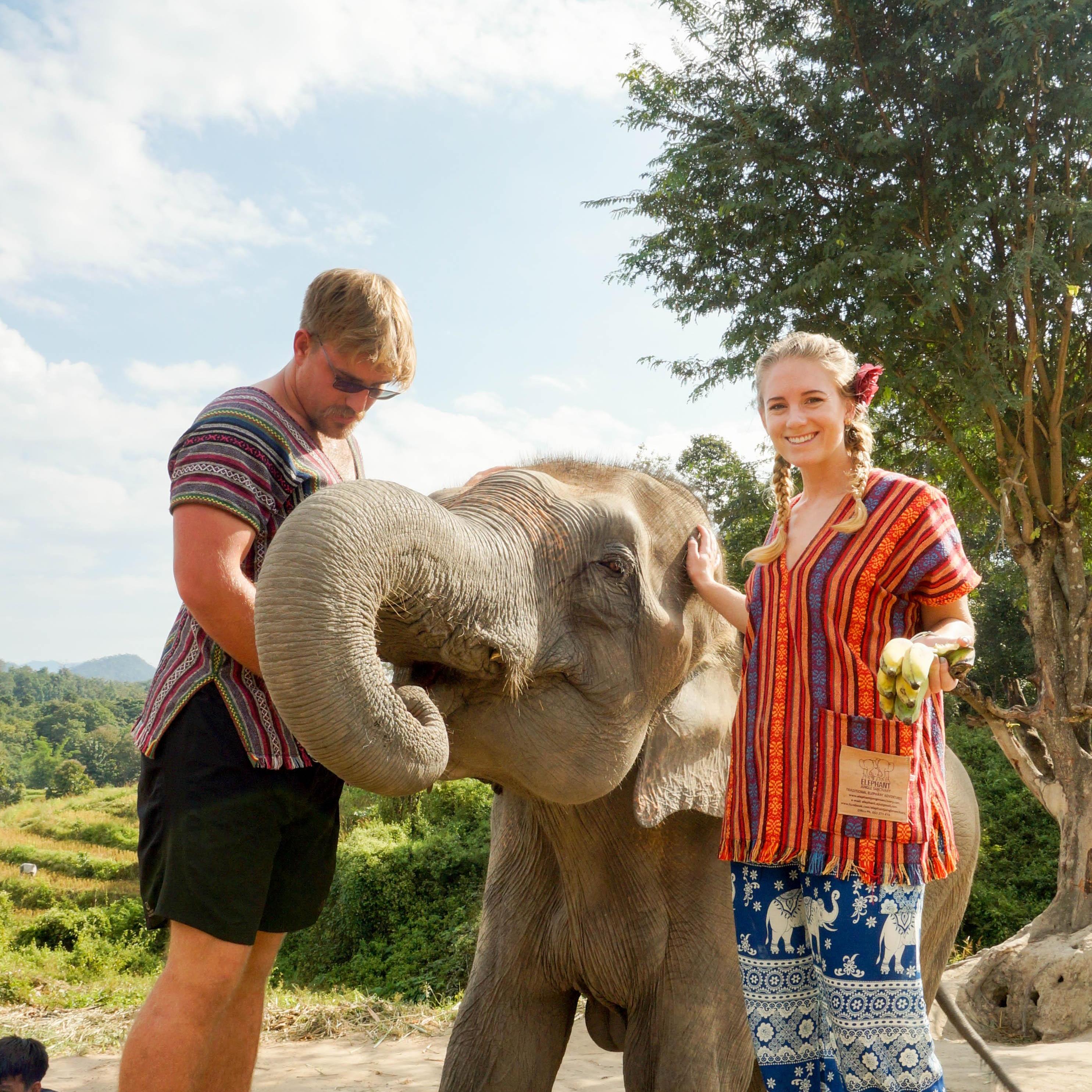 Loving Elephants. Chiang Mai, Thailand