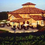 Blue Sky Vineyard