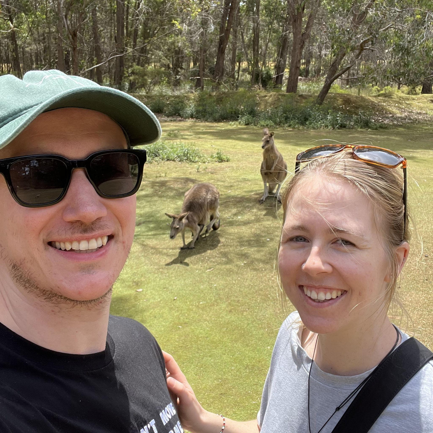 Terrifying kangaroos near Port Arthur, Tasmania.