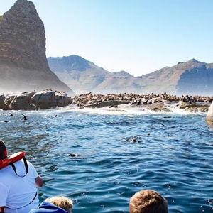 Seal Snorkeling
