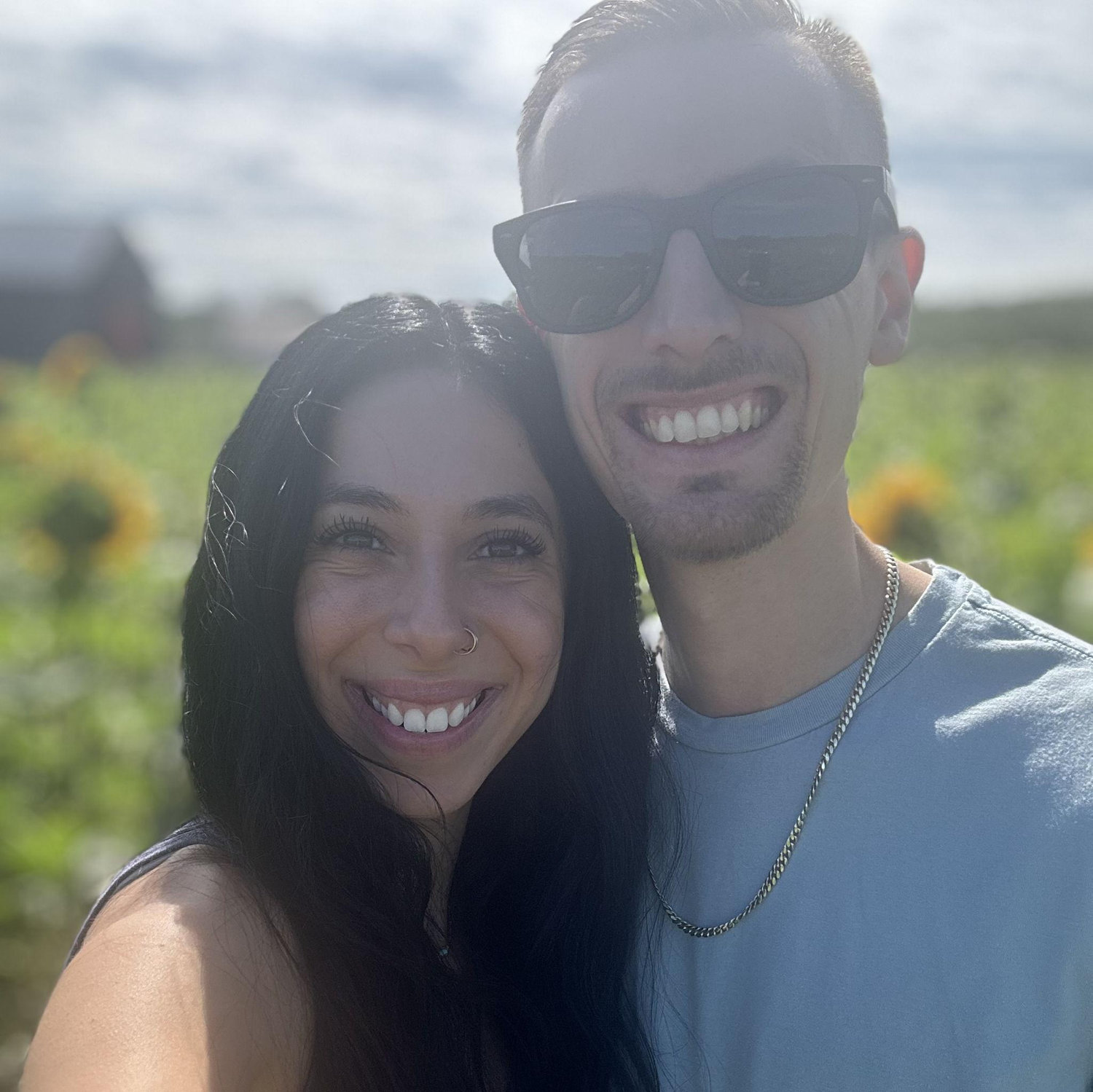 Colby Farm Sunflower field