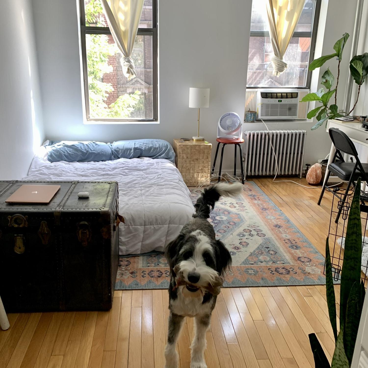 July 2022. Our studio we rented for the summer in NYC.