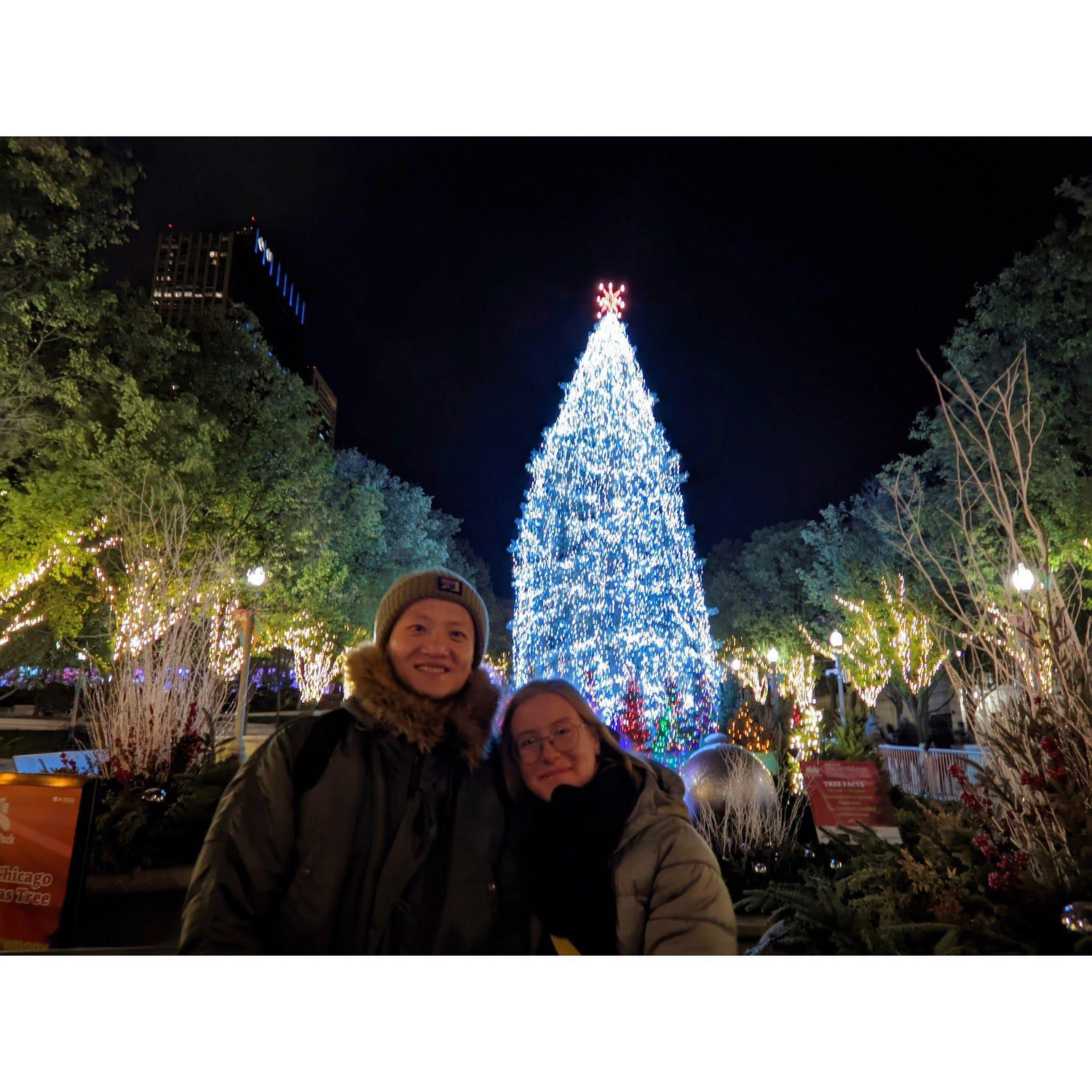 Christmas in Chicago