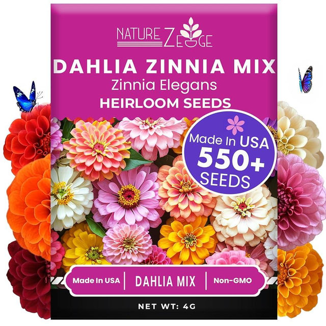 NatureZ Edge Zinnia Seeds for 2026 Planting Outdoors, Over 550 Flower Seeds, 4g, Non GMO Made in USA, Bulk Semillas De Flores para Sembrar, Dahlia Mix, Easy to Grow Zinnia Seed Mix