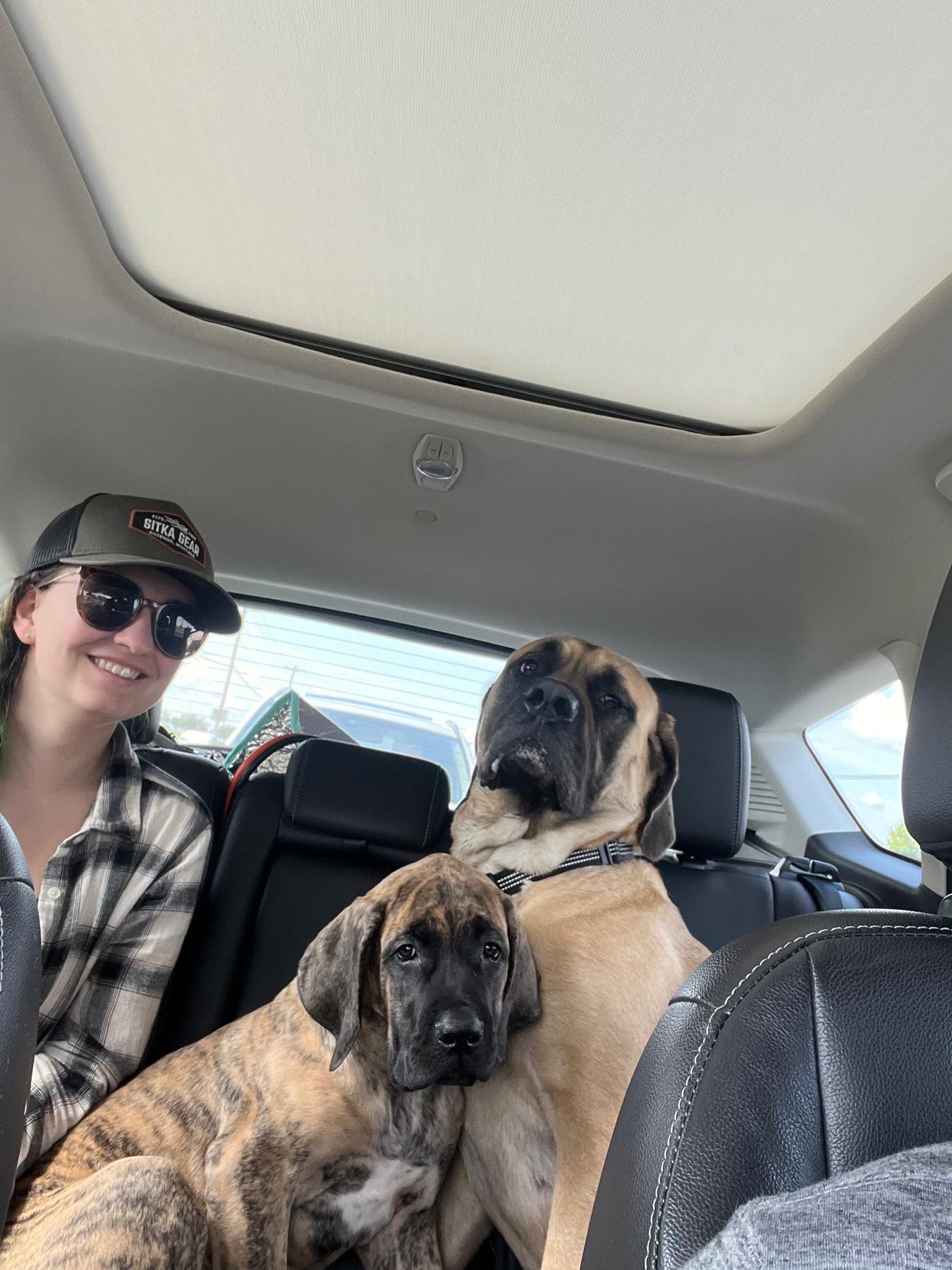 Bringing Monty home for the first time