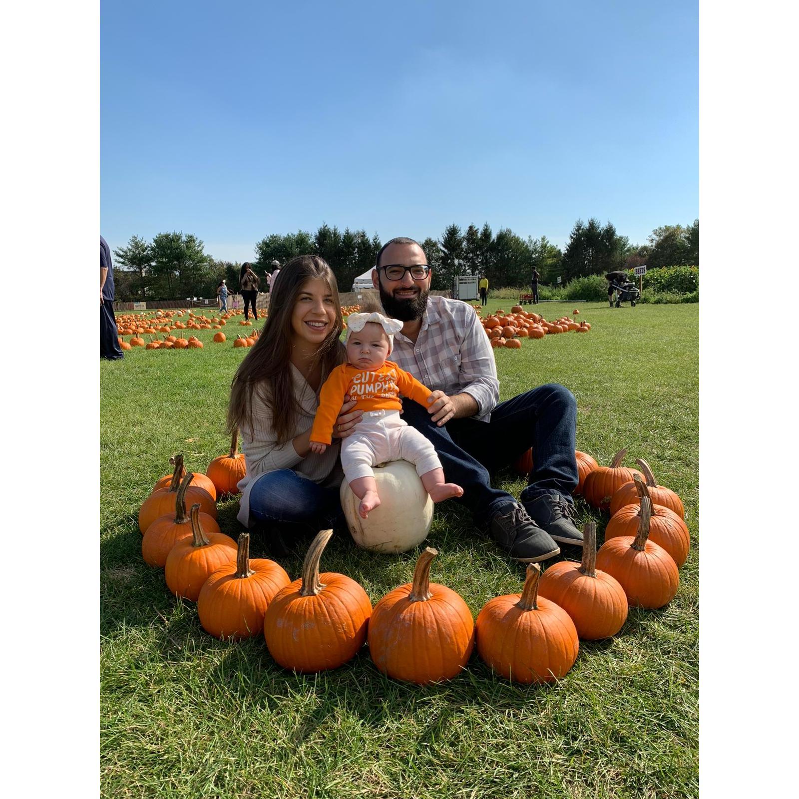 Lilianas first time pumpkin & apple picking!